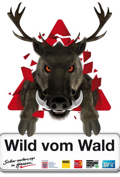 39 Wild vom Wald.jpg